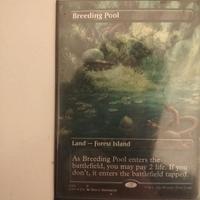 carte magic