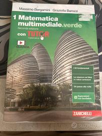 Libro di matematica multimediale. Verde 1