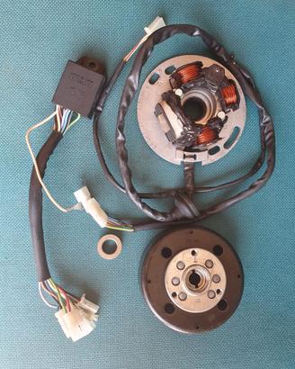 Accensione Leonelli booster sr aerox f12