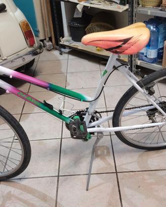 Bicicletta
