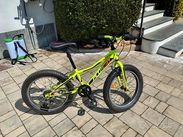 Bici MtB aurelia 20