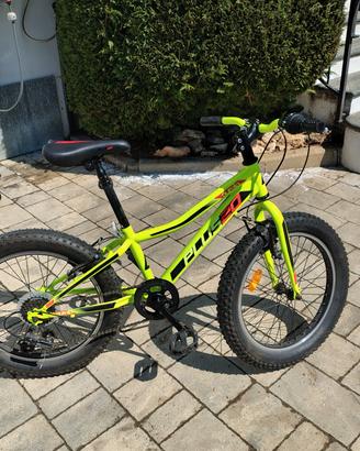 Bici MtB aurelia 20