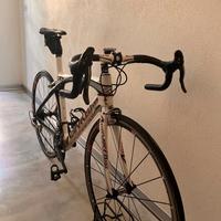 Bici da Corsa Advanced Precursor