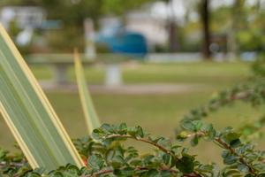 Casette in Villaggio con 3 piscine