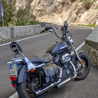 Moto Harley
