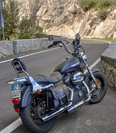 Moto Harley