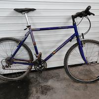 Mountain bike vintage