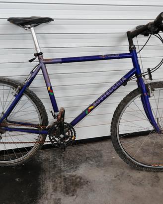 Mountain bike vintage