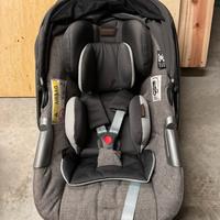 Ovetto inglesina darwin infant
