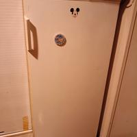 congelatore verticale rex