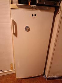 congelatore verticale rex