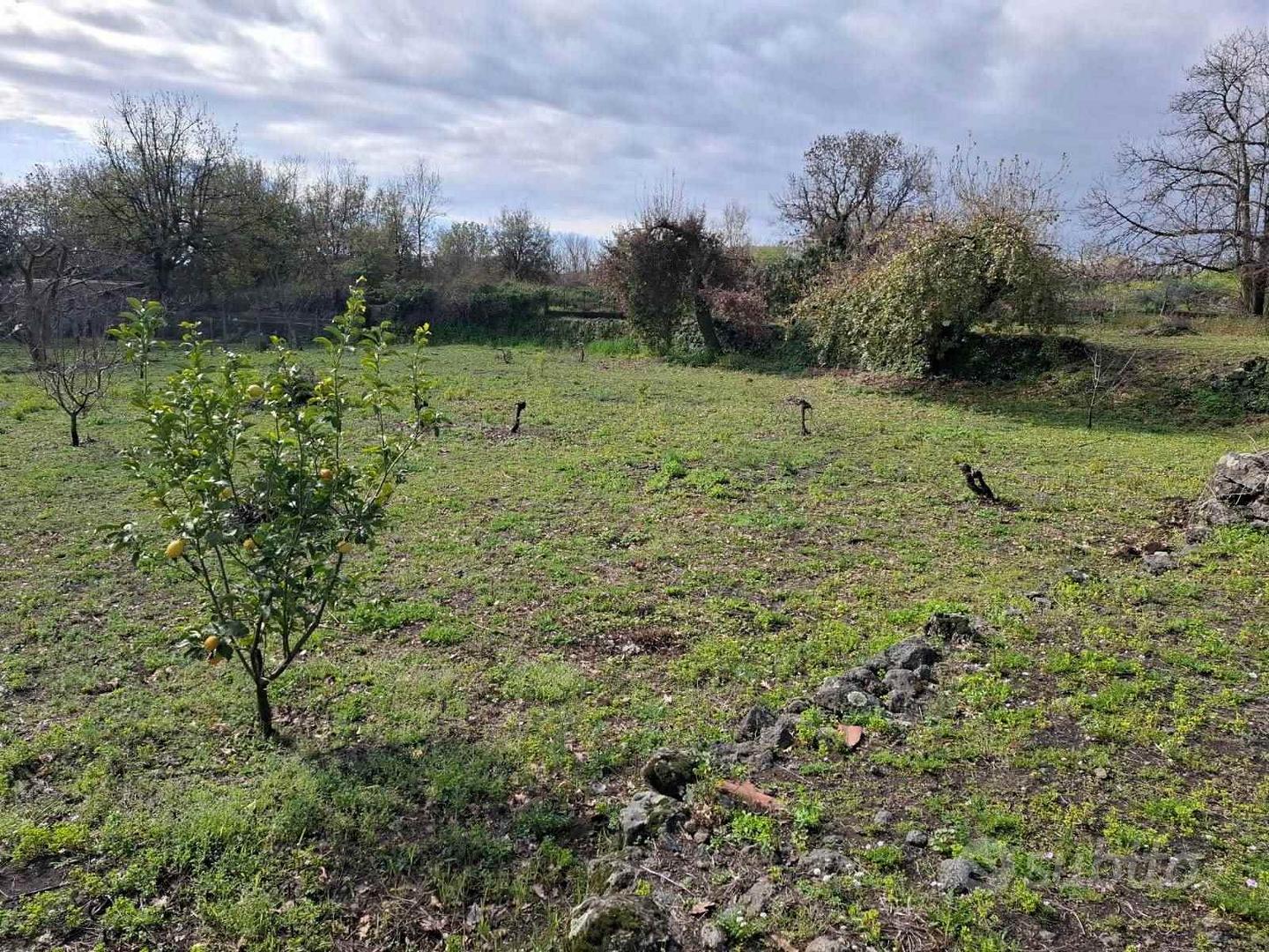 Rif.PS107| area edificabile viagrande - Vista 5