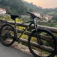 Scott scale 980 L