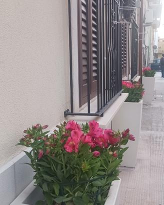 Casa vacanza dal 22 agosto al 29 agosto 2026