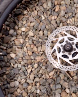 ruota per mountain bike