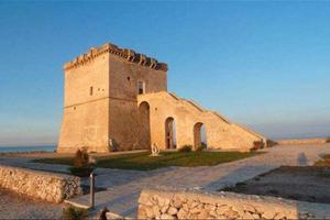 Nel cuore di torre lapillo