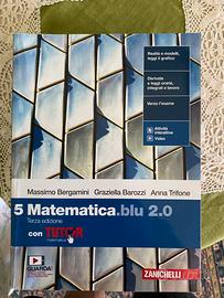 Libro di matematica 5 anno liceo scientifico