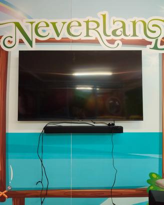Tv Samsung 55 pollici+ lg soundbar