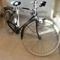 Bicicletta da passeggio