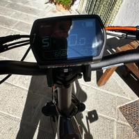Bicicletta elettrica