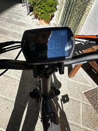 Bicicletta elettrica
