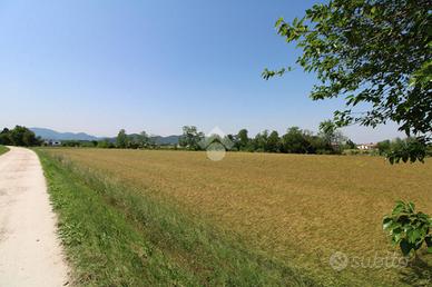 TER. AGRICOLO A PERNUMIA