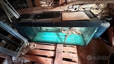 Aquario