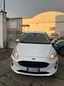ford-fiesta-1-5-tdci-85-cv-3-porte-van-trend