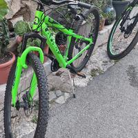 n2  Atala