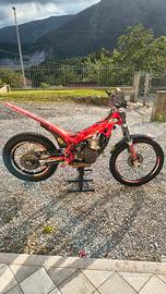 Beta evo 300 2t