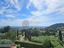 Immagine 14