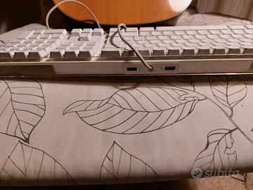 Tastiera apple vintage mod. A1048