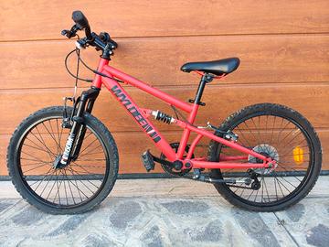 Mtb da bambino da 20'