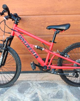 Mtb da bambino da 20'