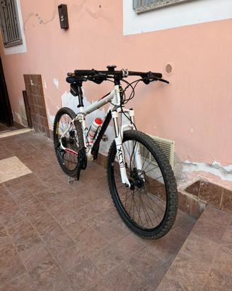 Mountain Bike Coratec Mayon – Perfette condizioni
