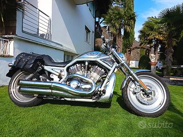 Harley Davidson V-ROD 100Anniversari