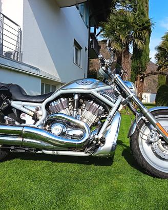 Harley Davidson V-ROD 100Anniversari