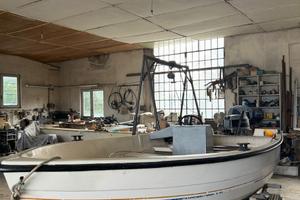 Barca Gobbi con motore Evinrude 25cv