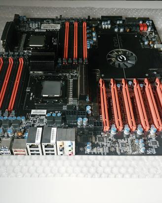 Scheda madre EVGA SR-2 LGA 1366/Socket B testata