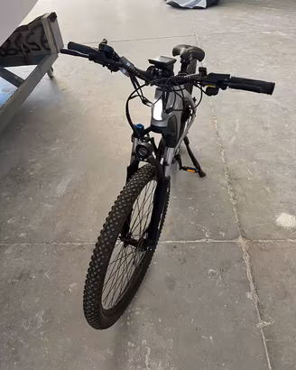 Bici elettrica 