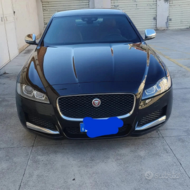 Jaguar 2017