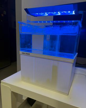Acquario per pesci di mare Armatus XS