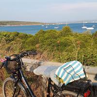 Bici da passeggio a pedalata assistita