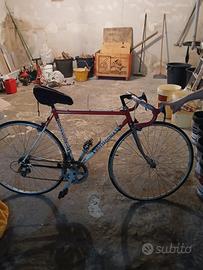 Bici da corsa Bottecchia