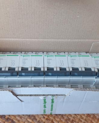 6 interruttori magnetotermici SCHNEIDER C60H C10