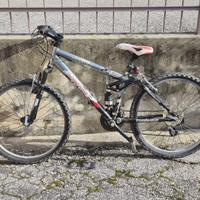 Bicicletta da ragazzo