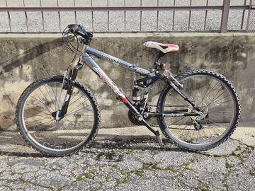Bicicletta da ragazzo