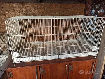 gabbie per uccellini