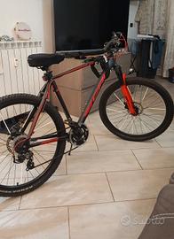 Mountain Bike Carnielli 1000