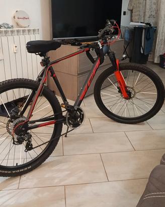Mountain Bike Carnielli 1000